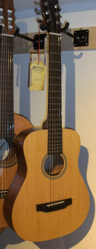 Ami sigma guitars - sigma, travel