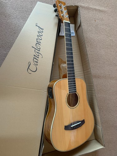 Guitar and gig - guitar, bag