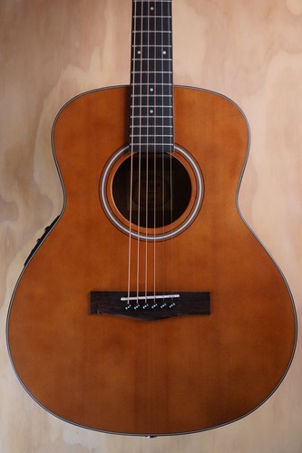 Sqoe 60yn electro acoustic - gs-60yn,