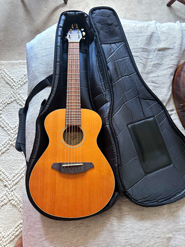 Breedlove atlas series c20 - atlas,