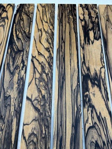 Pale moon ebony acoustic - moon, /